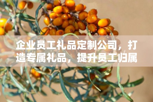 企业员工礼品定制公司，打造专属礼品，提升员工归属感